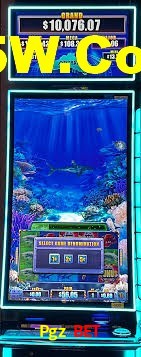 Welcome Bonus Pgz Bet